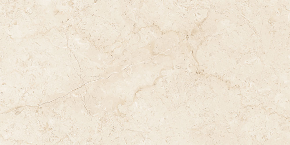 Laburnum Marfil image 2