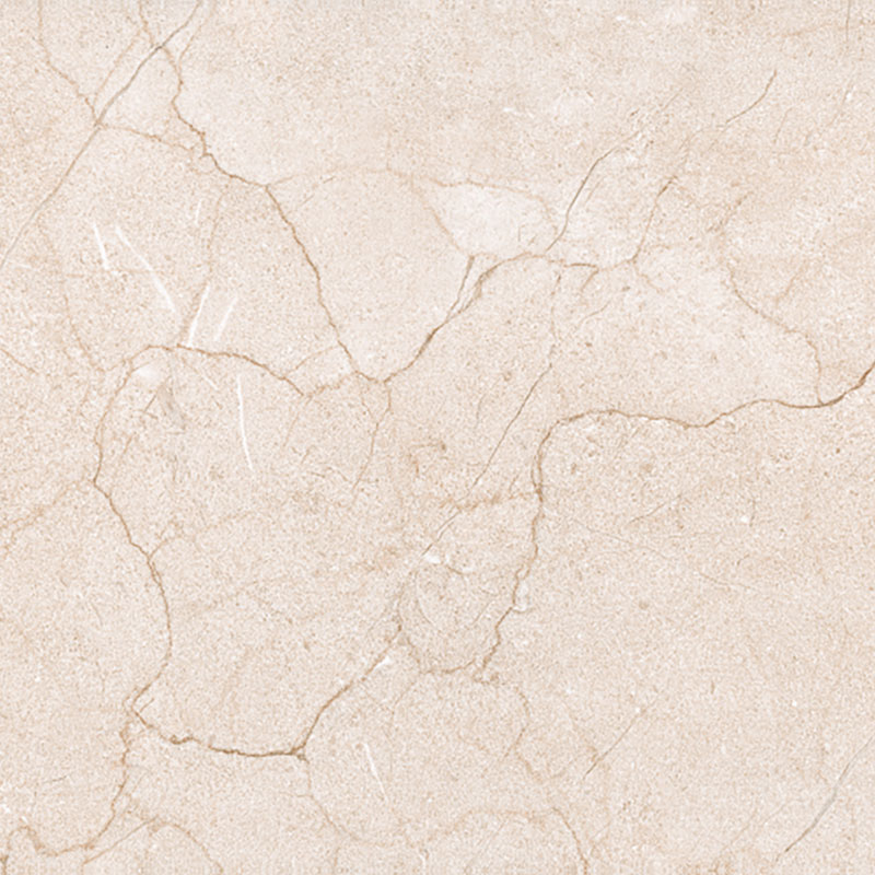 Celebration Crema image 2