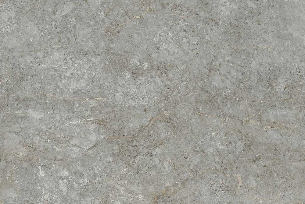 Williams Grey image 2